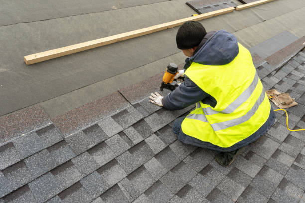 Best Solar Panel Roofing Installation  in Larksville, PA